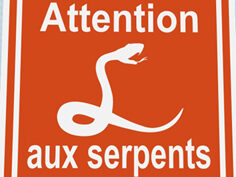 Danger serpents et vipères à Ger