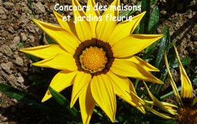 Concours Maisons er jardins fleuris